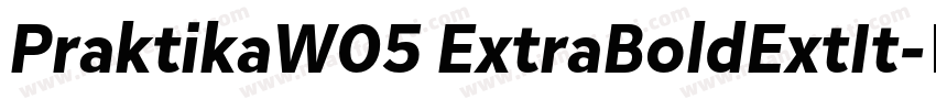 PraktikaW05 ExtraBoldExtIt字体转换